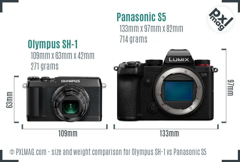 Olympus SH-1 vs Panasonic S5 size comparison