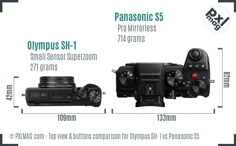Olympus SH-1 vs Panasonic S5 top view buttons comparison