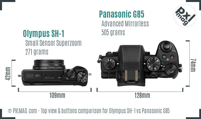 Olympus SH-1 vs Panasonic G85 top view buttons comparison