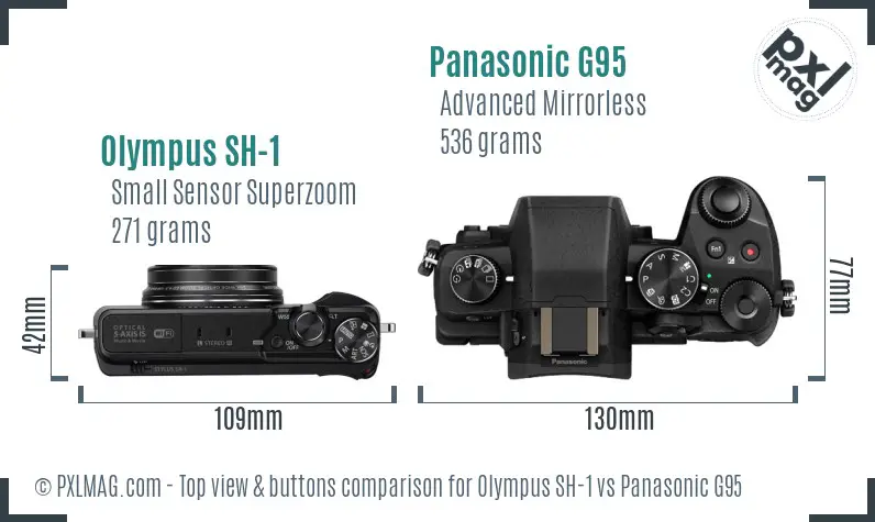 Olympus SH-1 vs Panasonic G95 top view buttons comparison