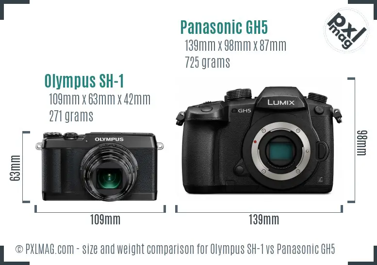 Olympus SH-1 vs Panasonic GH5 size comparison