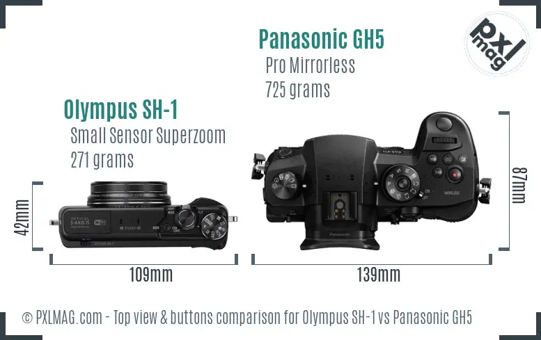 Olympus SH-1 vs Panasonic GH5 top view buttons comparison