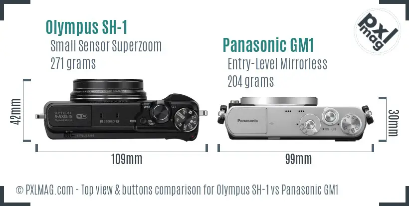 Olympus SH-1 vs Panasonic GM1 top view buttons comparison