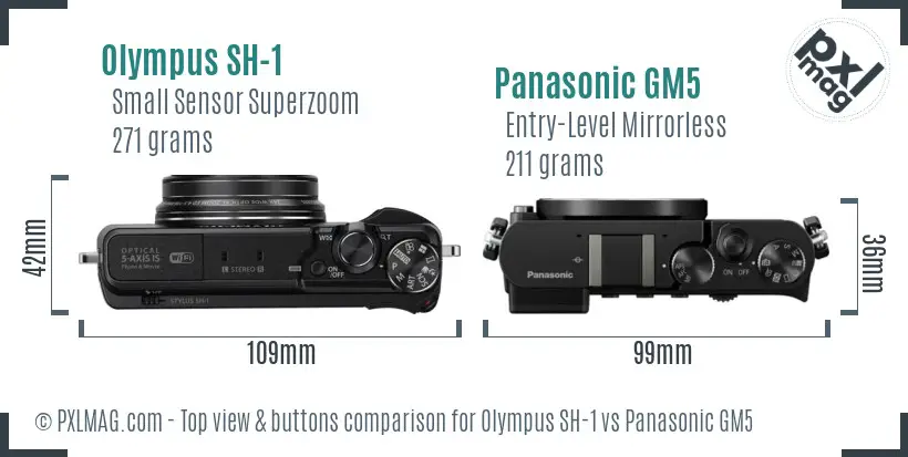Olympus SH-1 vs Panasonic GM5 top view buttons comparison