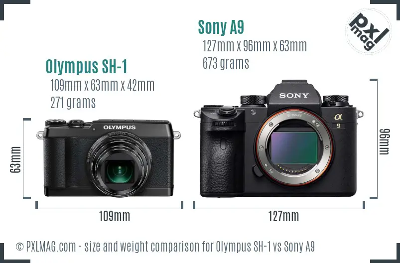 Olympus SH-1 vs Sony A9 size comparison