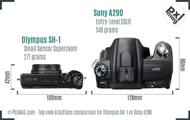 Olympus SH-1 vs Sony A290 top view buttons comparison