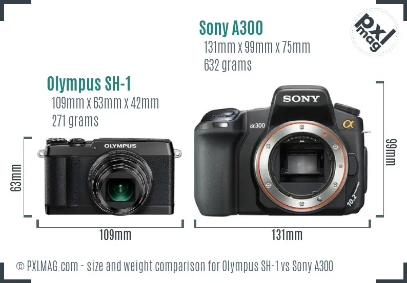 Olympus SH-1 vs Sony A300 size comparison