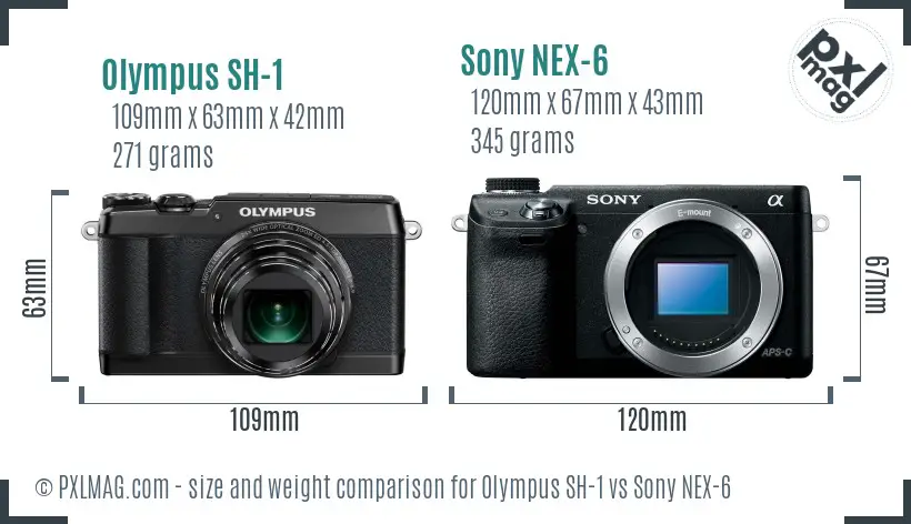 Olympus SH-1 vs Sony NEX-6 size comparison