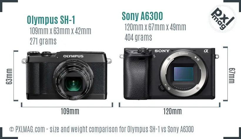 Olympus SH-1 vs Sony A6300 size comparison