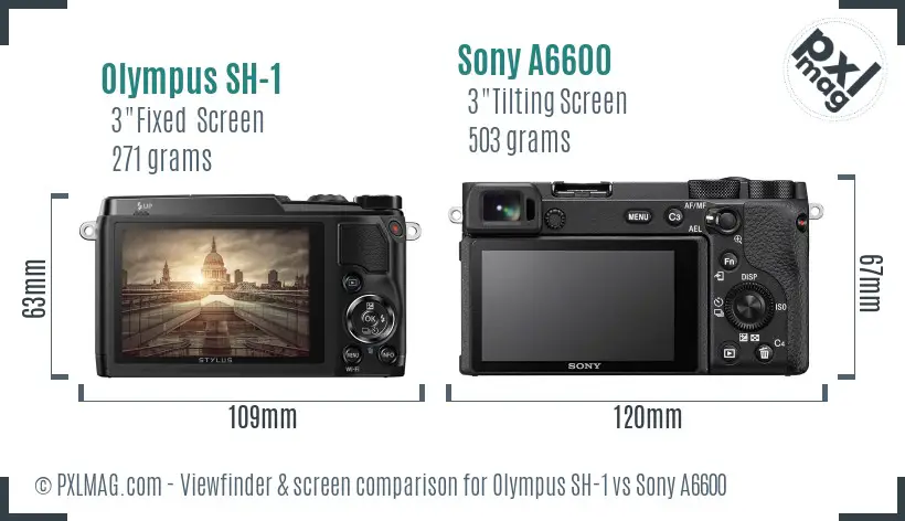 Olympus SH-1 vs Sony A6600 Screen and Viewfinder comparison