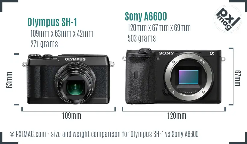 Olympus SH-1 vs Sony A6600 size comparison