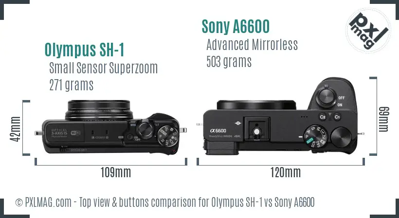 Olympus SH-1 vs Sony A6600 top view buttons comparison