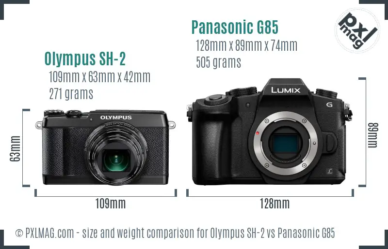 Olympus SH-2 vs Panasonic G85 size comparison