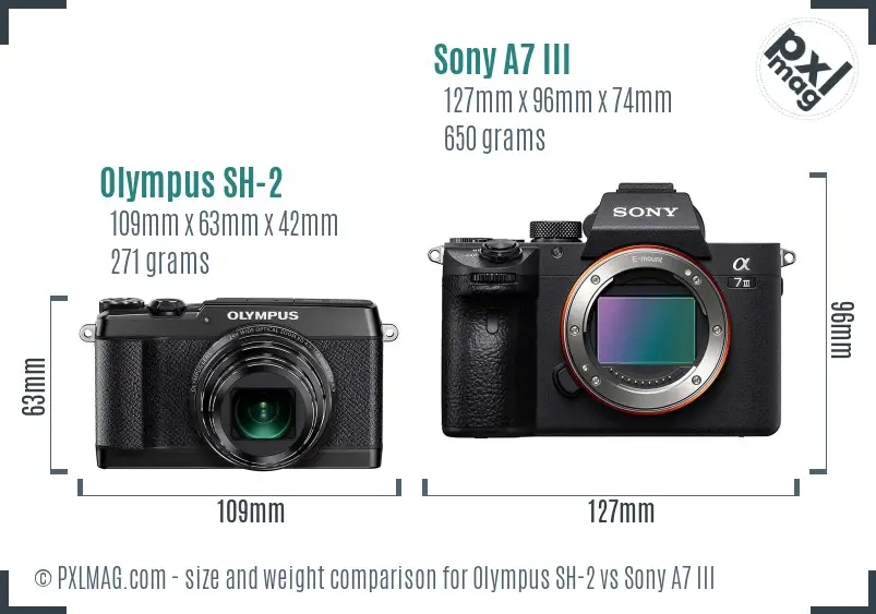 Olympus SH-2 vs Sony A7 III size comparison