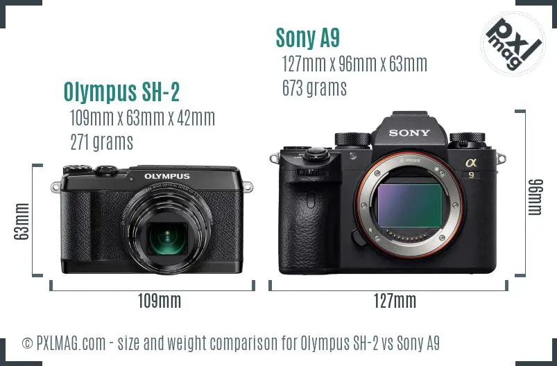 Olympus SH-2 vs Sony A9 size comparison