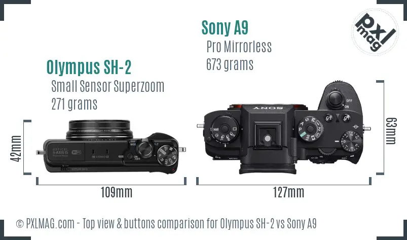 Olympus SH-2 vs Sony A9 top view buttons comparison