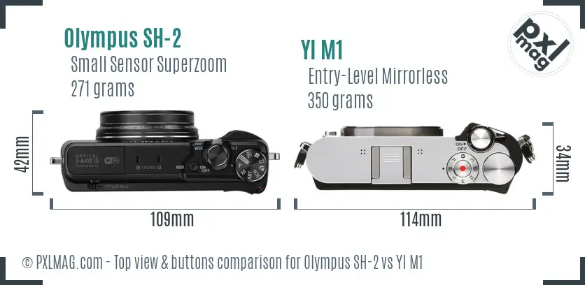 Olympus SH-2 vs YI M1 top view buttons comparison