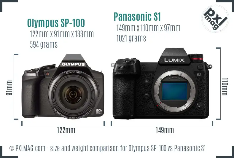Olympus SP-100 vs Panasonic S1 size comparison