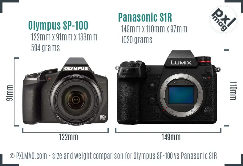 Olympus SP-100 vs Panasonic S1R size comparison