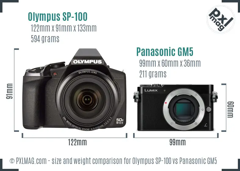 Olympus SP-100 vs Panasonic GM5 size comparison