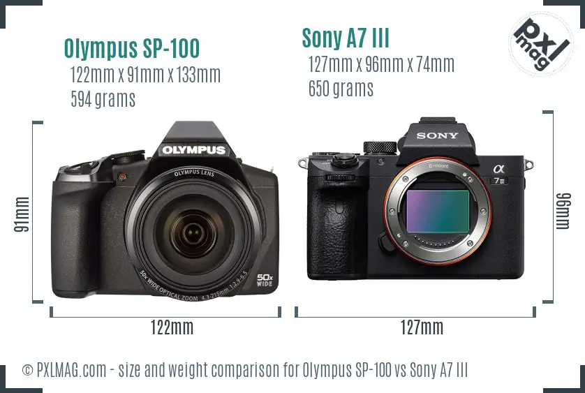 Olympus SP-100 vs Sony A7 III size comparison