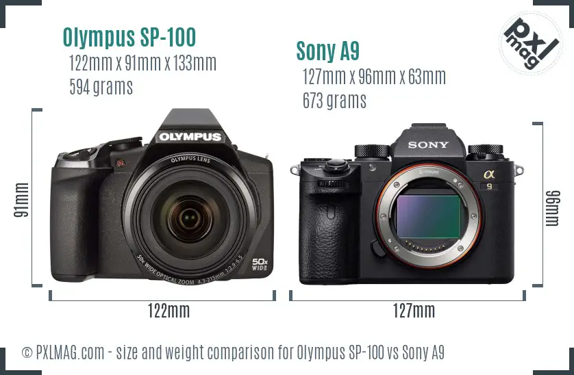 Olympus SP-100 vs Sony A9 size comparison