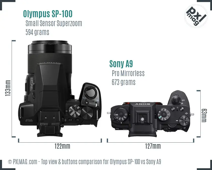 Olympus SP-100 vs Sony A9 top view buttons comparison