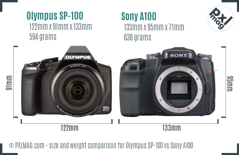 Olympus SP-100 vs Sony A100 size comparison