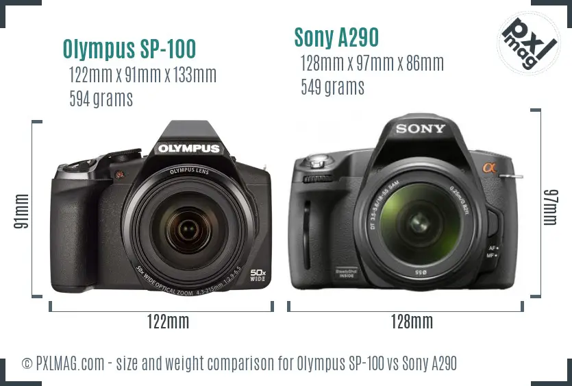 Olympus SP-100 vs Sony A290 size comparison