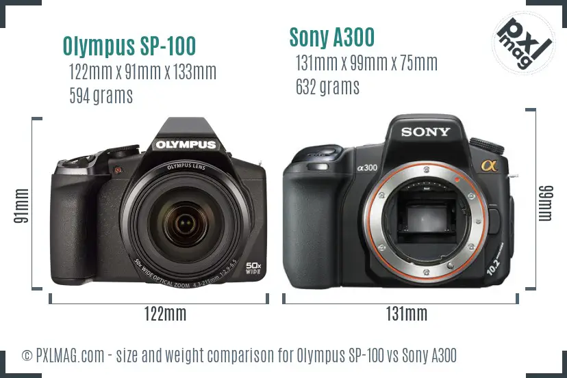 Olympus SP-100 vs Sony A300 size comparison