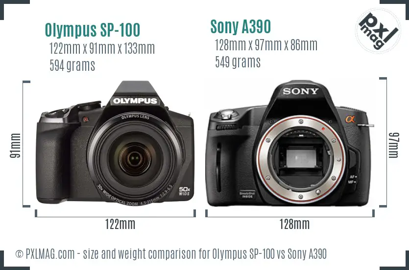 Olympus SP-100 vs Sony A390 size comparison