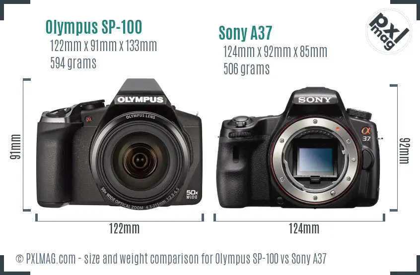 Olympus SP-100 vs Sony A37 size comparison