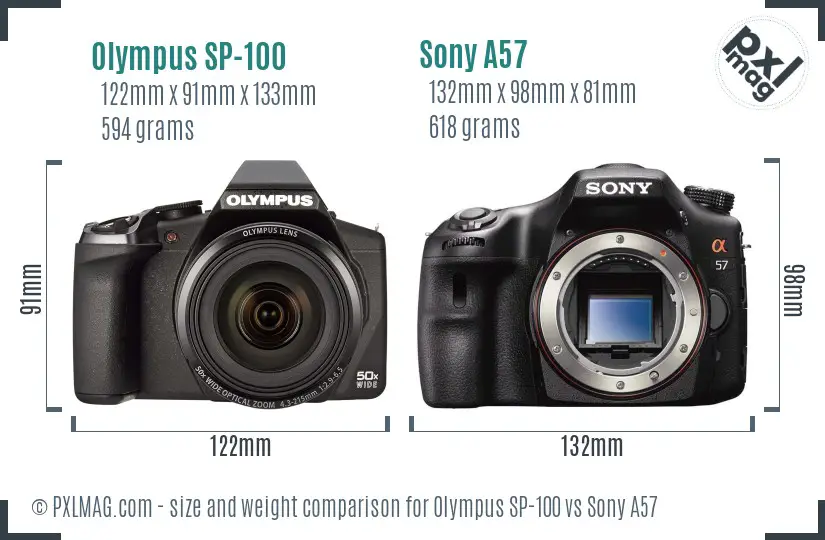 Olympus SP-100 vs Sony A57 size comparison