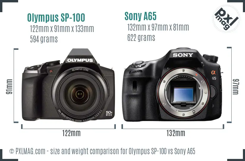 Olympus SP-100 vs Sony A65 size comparison