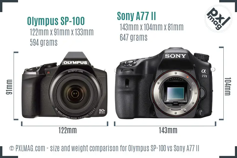 Olympus SP-100 vs Sony A77 II size comparison