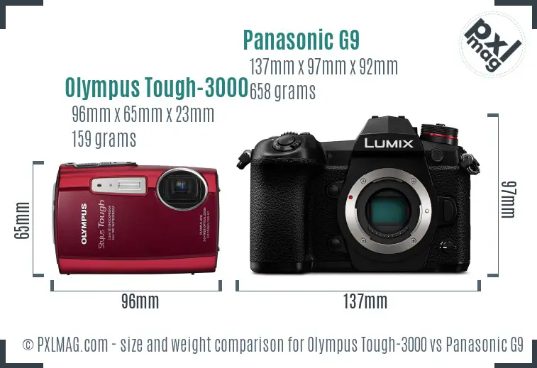 Olympus Tough-3000 vs Panasonic G9 size comparison