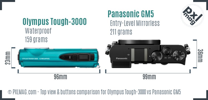 Olympus Tough-3000 vs Panasonic GM5 top view buttons comparison