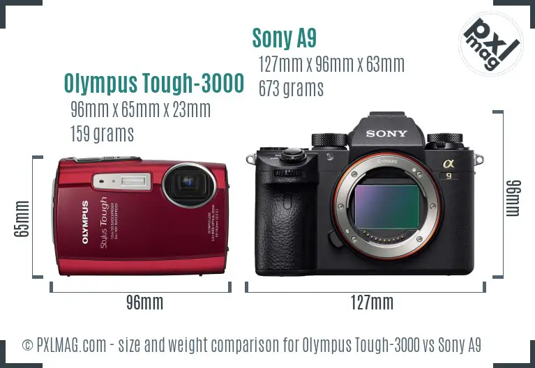 Olympus Tough-3000 vs Sony A9 size comparison