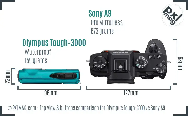 Olympus Tough-3000 vs Sony A9 top view buttons comparison