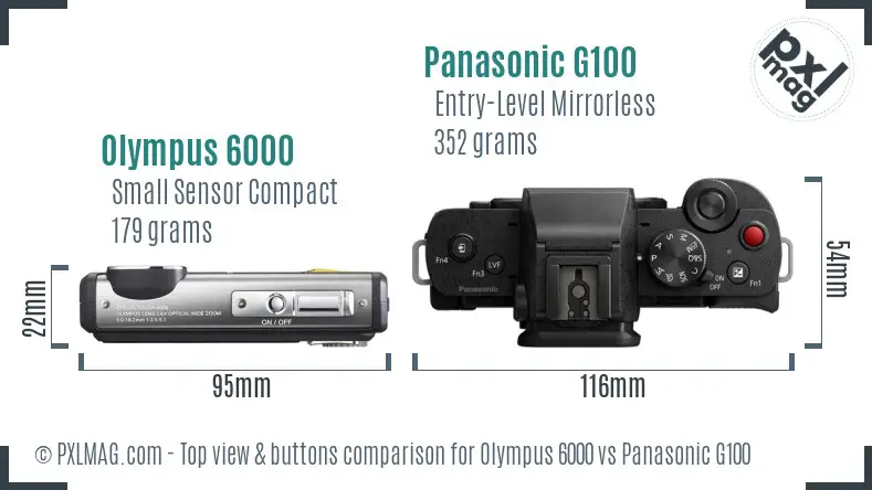 Olympus 6000 vs Panasonic G100 top view buttons comparison