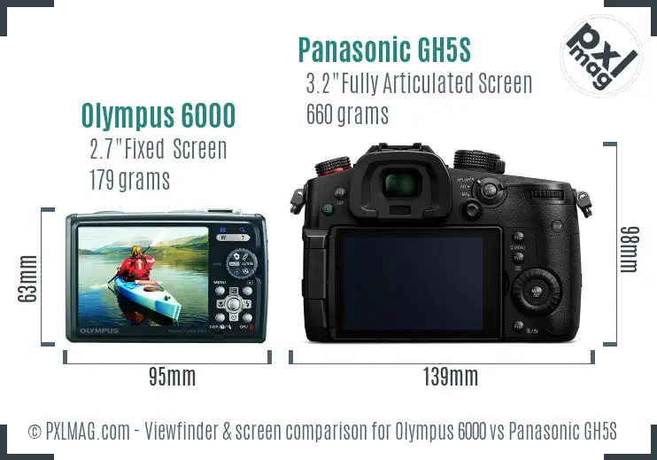 Olympus 6000 vs Panasonic GH5S Screen and Viewfinder comparison