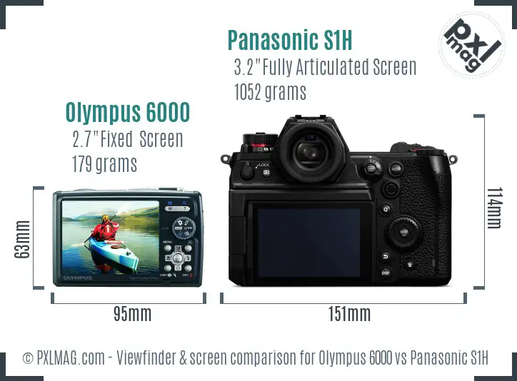 Olympus 6000 vs Panasonic S1H Screen and Viewfinder comparison