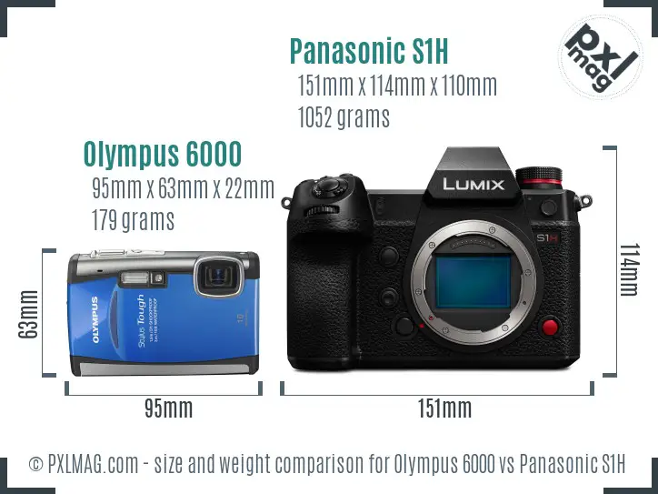 Olympus 6000 vs Panasonic S1H size comparison