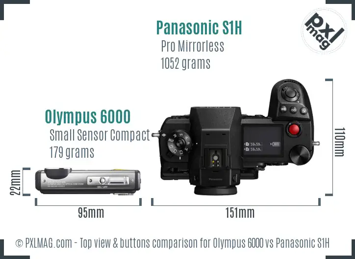 Olympus 6000 vs Panasonic S1H top view buttons comparison