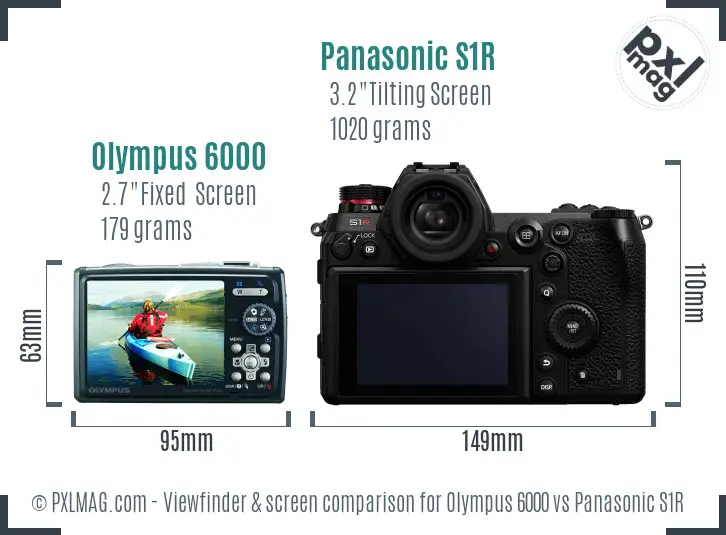 Olympus 6000 vs Panasonic S1R Screen and Viewfinder comparison