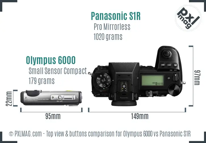 Olympus 6000 vs Panasonic S1R top view buttons comparison