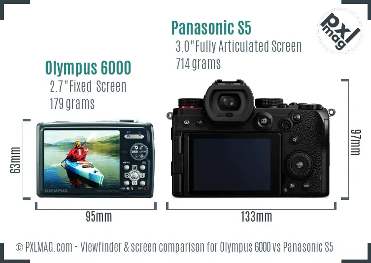 Olympus 6000 vs Panasonic S5 Screen and Viewfinder comparison