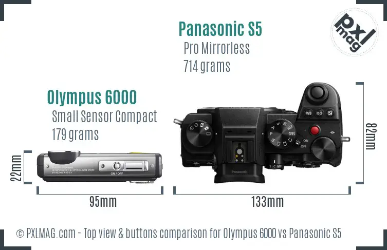 Olympus 6000 vs Panasonic S5 top view buttons comparison