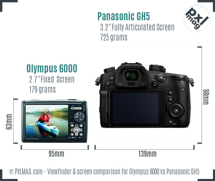 Olympus 6000 vs Panasonic GH5 Screen and Viewfinder comparison