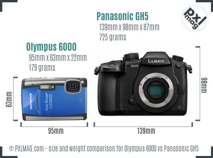 Olympus 6000 vs Panasonic GH5 size comparison